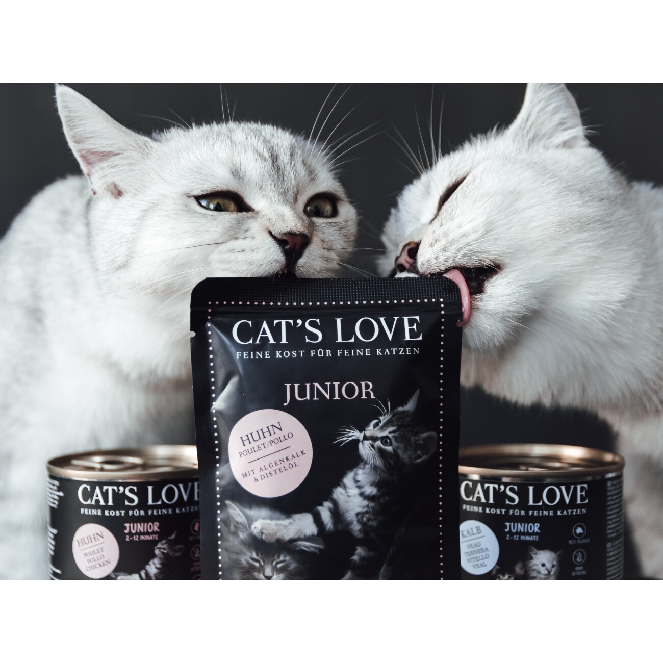 CAT'S LOVE Katzenfutter Katze Junior in Gelee Huhn mit Algenkalk und Distelöl 12x85 g