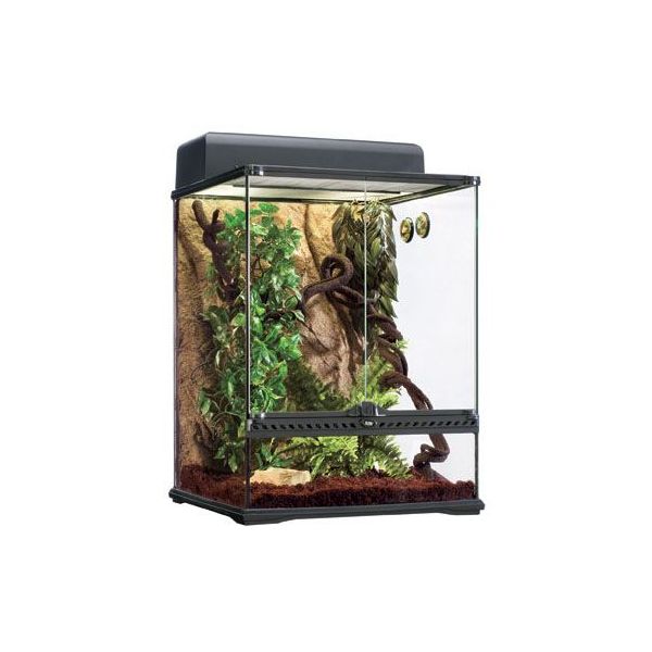 Exo Terra Terrário Kit Floresta Pequeno (PT2660)