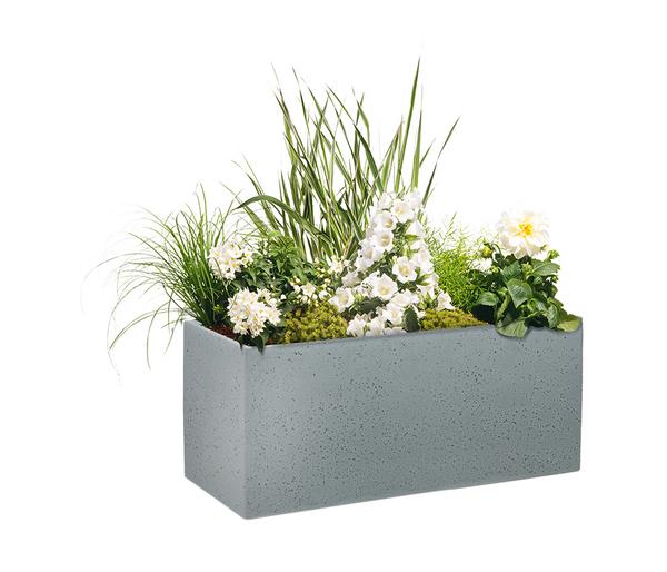 Scheurich Kunststoff-Kasten C-Cube Long,