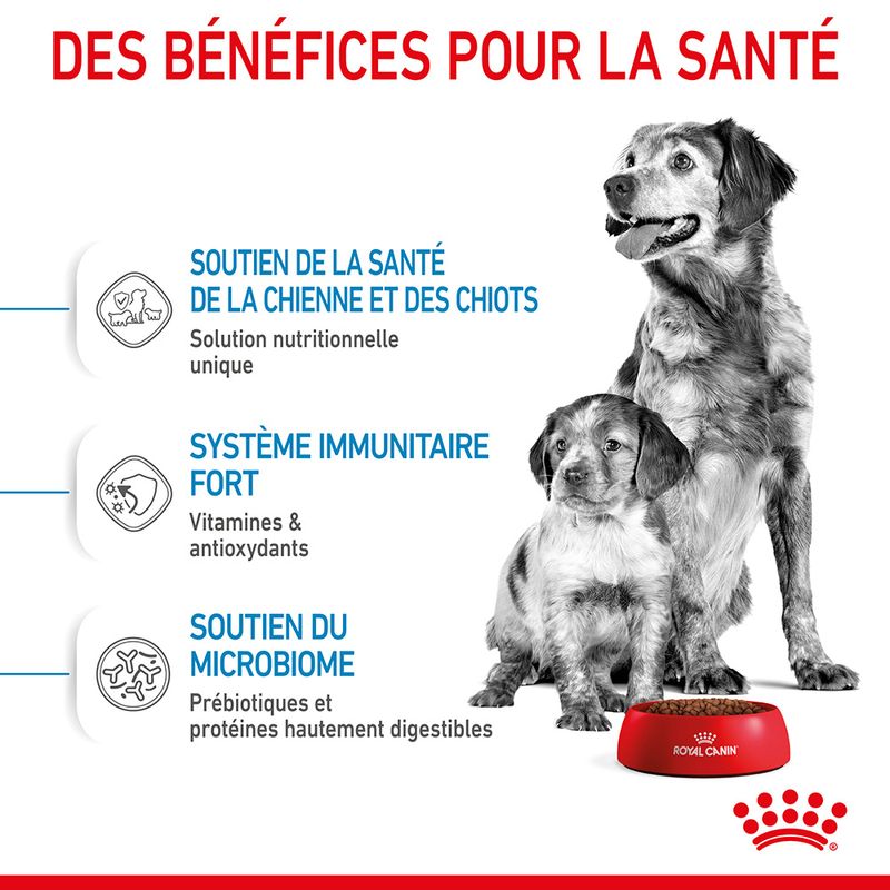 Royal Canin Medium Starter Mother & Babydog à prix discount sur bitiba.fr