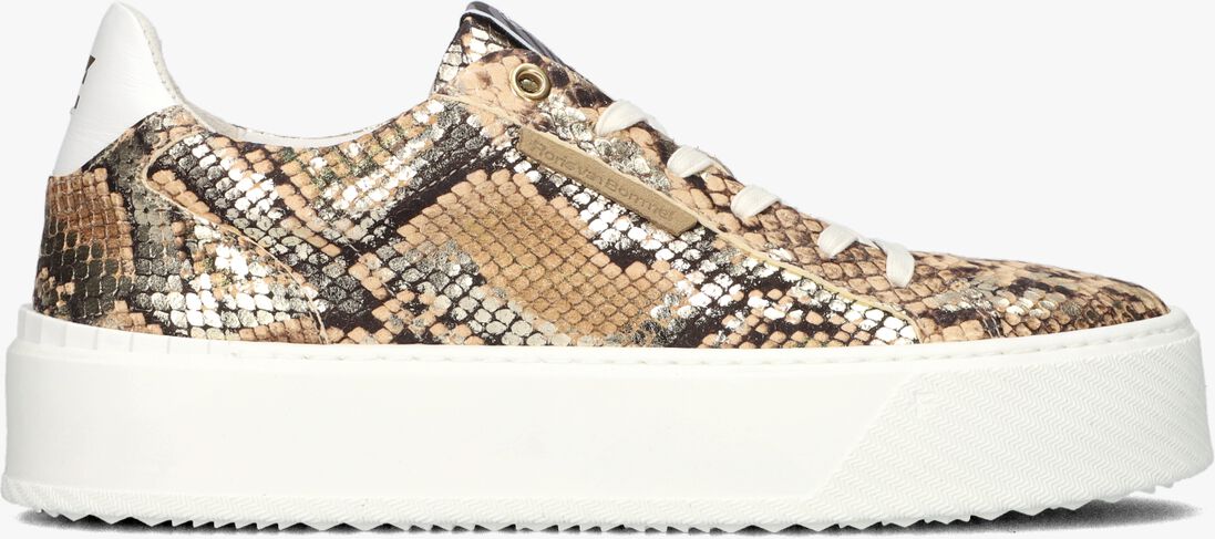 FLORIS VAN BOMMEL gouden floris van bommel lage sneakers sfw-10106