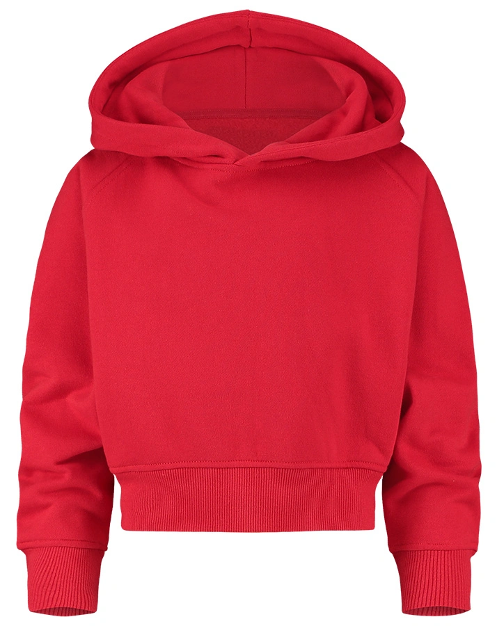 Kapuzen-Sweatshirt G-BASIC in classic red