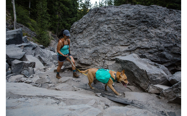 Ruffwear Front Range Hunderucksack