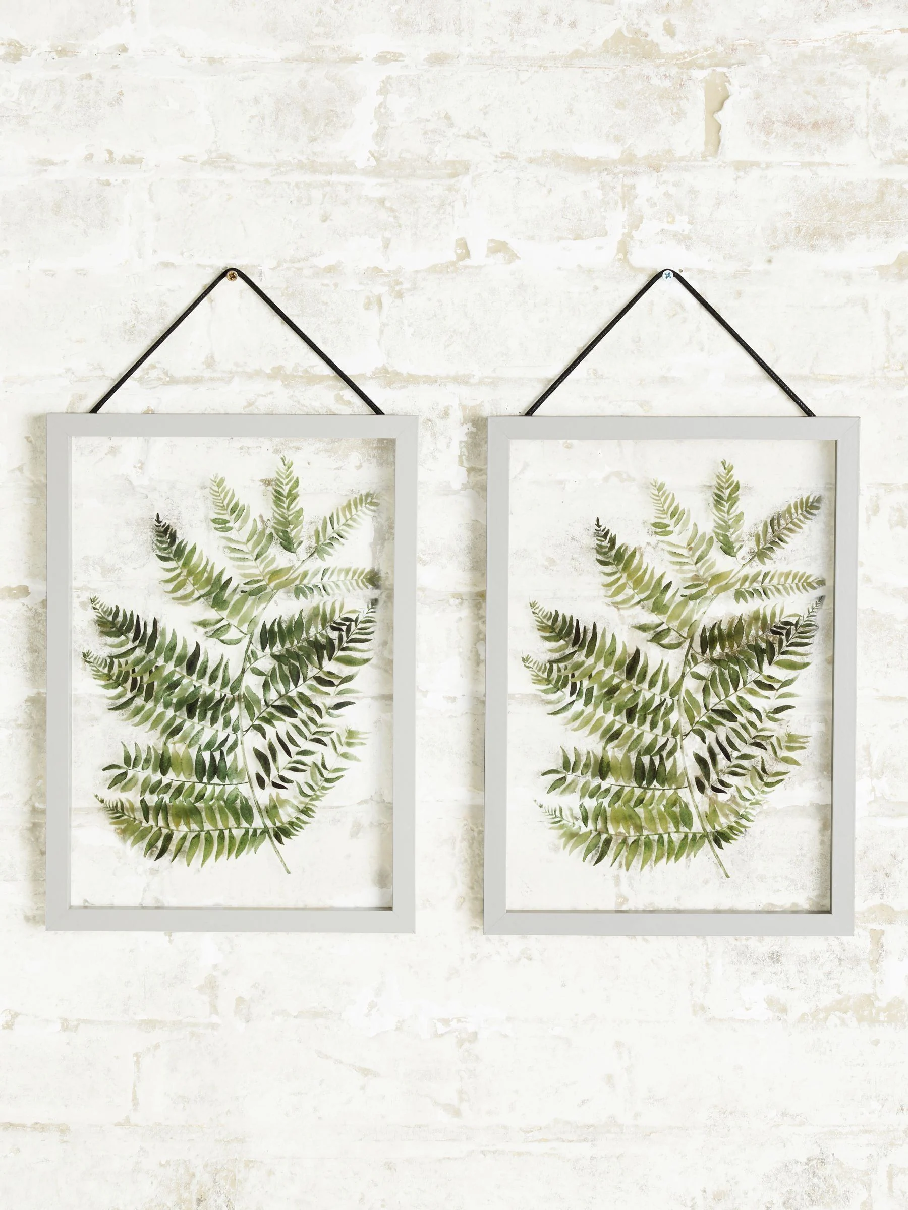 Set van 2 zwevende planten in grijze hanglijsten voor aan de wand