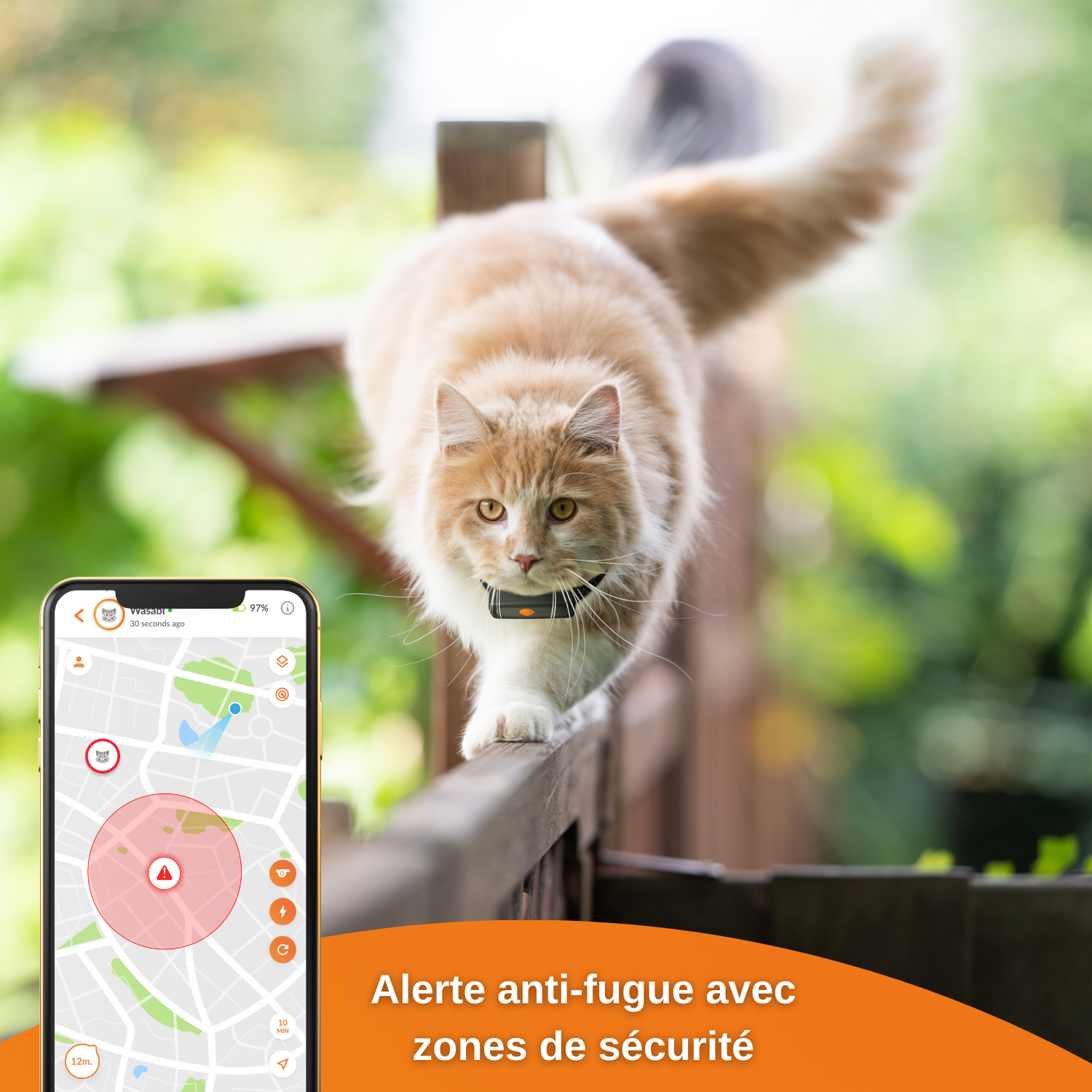XS - collier gps pour chat (black edition 2023)