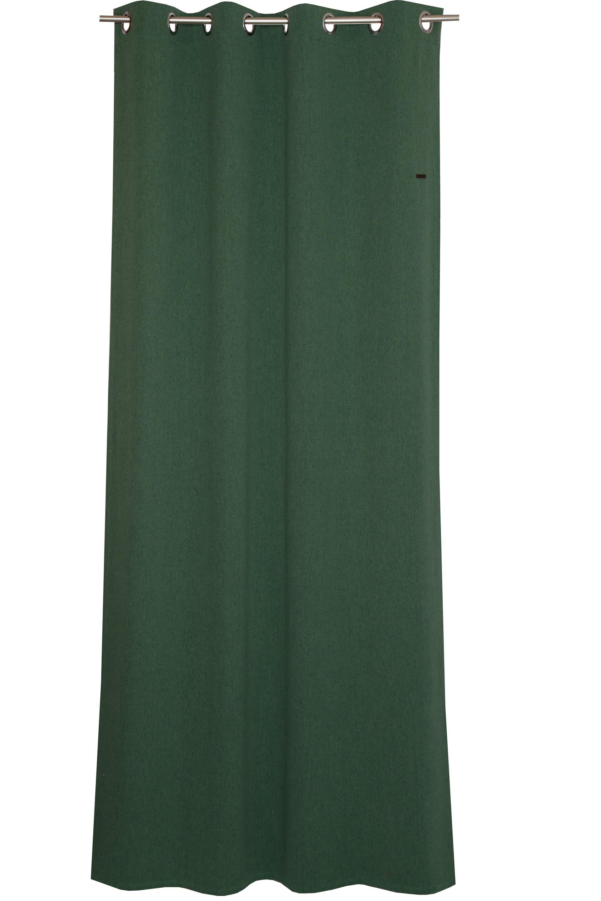 Curtains & Rollos