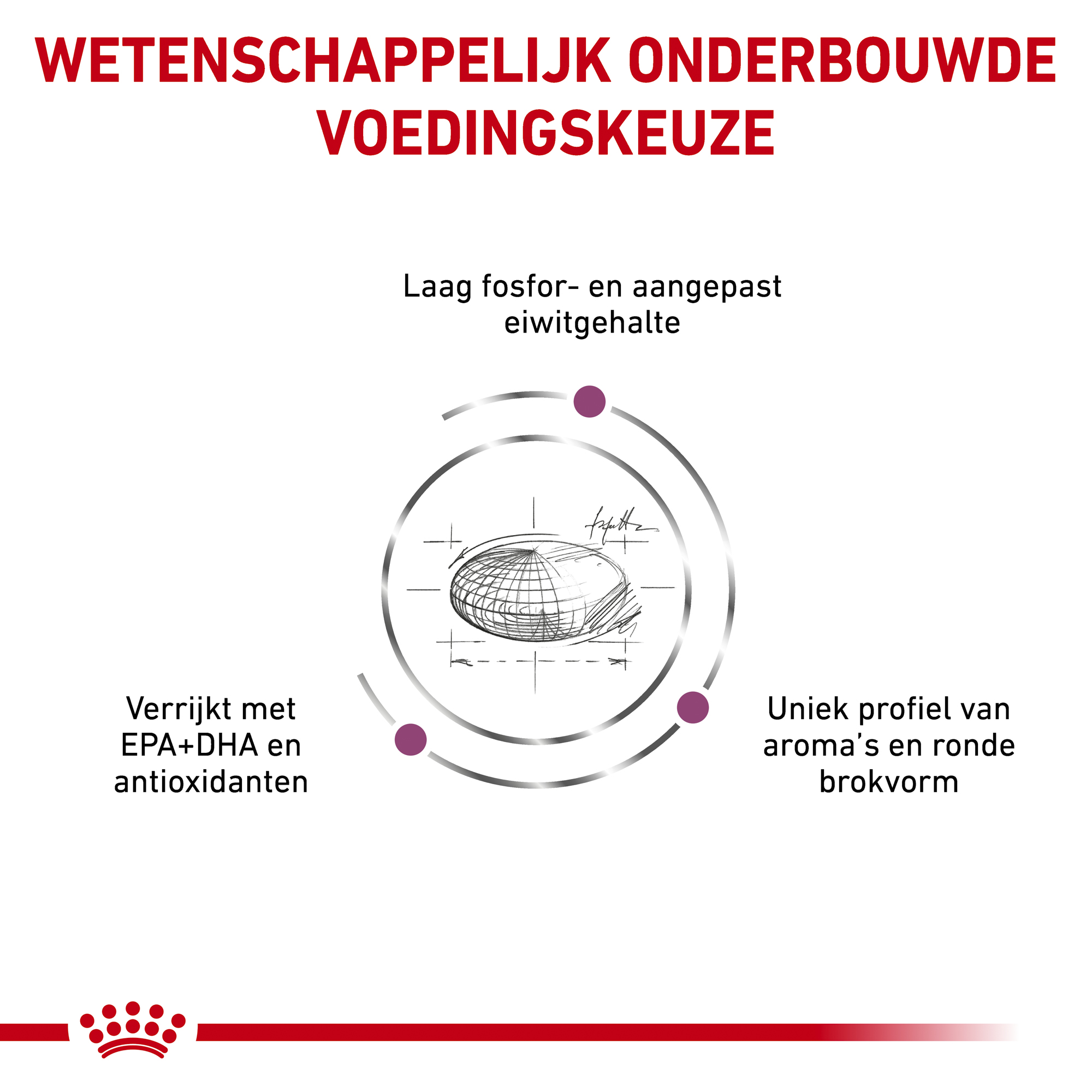 Royal Canin Renal Special Hond