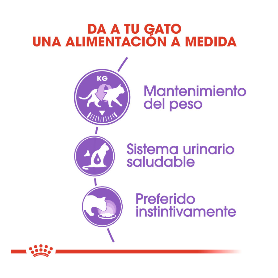 Sachês de geleia esterilizada Royal Canin para gatos