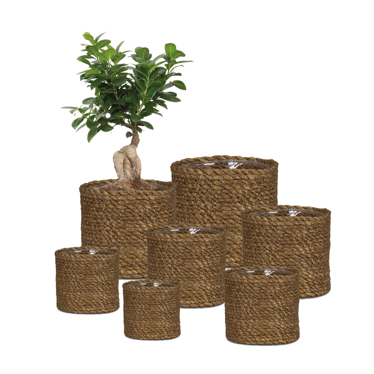 Scheurich Seagrass 24, plantenbak/mand van riet, kleur bruin, diameter 24 cm, hoogte 22,5 cm, inhoud 10,6 l.