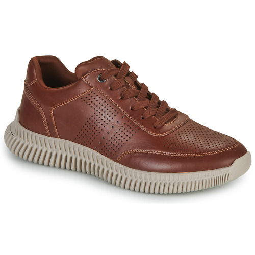 Aldo - RIOGA - Marron