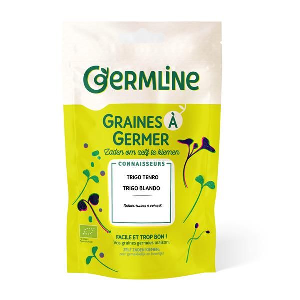 Trigo Bio - Sementes Para Germinar