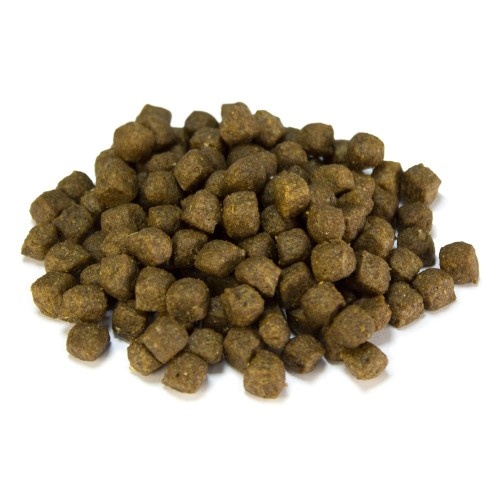 Filhote Arquivet Júnior sabor Frango e Arroz