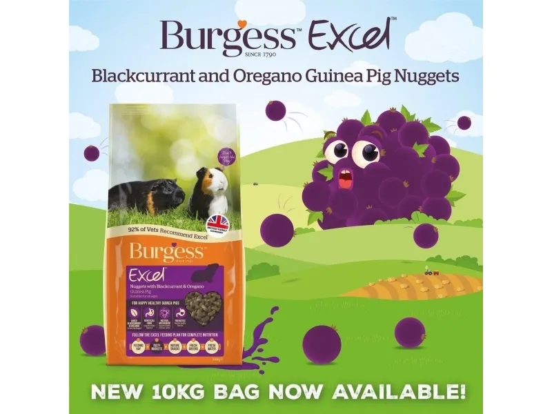 Burgess Excel Pig Blackcurrant & Oregano 10 kg