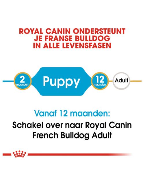 Royal Canin French Bulldog - Puppy-Hondenvoer
