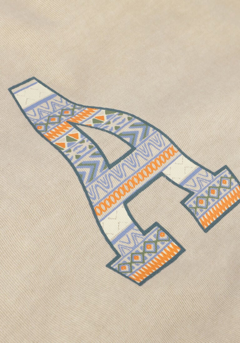 ANERKJENDT beige anerkjendt t-shirt akkikki s/s print tee