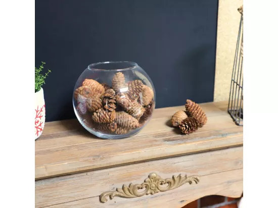 Sachet de pommes de Pin allongées marrons 240g
