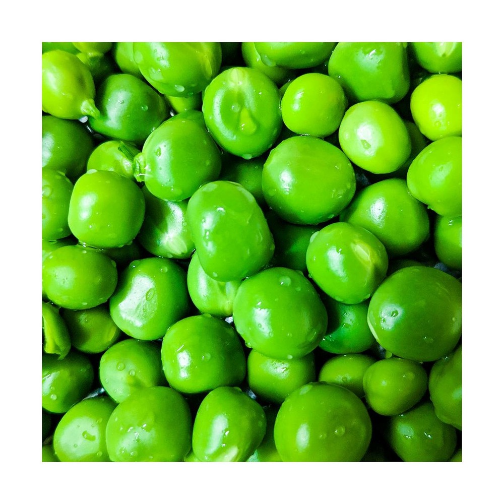 Graines de pois nain grain ridé téléphone/pisum sativum nain grain ridé téléphone[-]sachet de 80 gr.