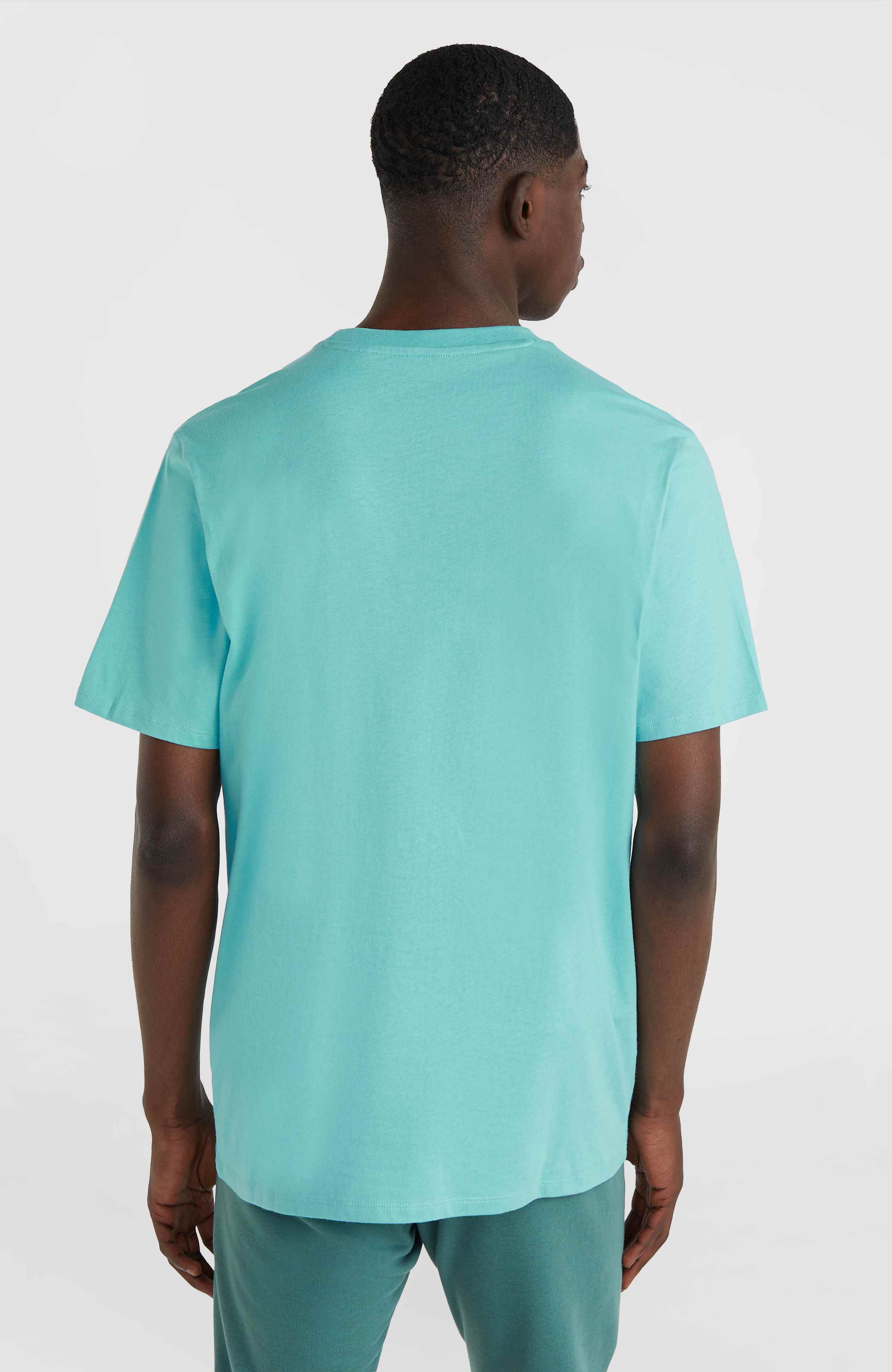 Logo T-shirt O`Neill Turkoois