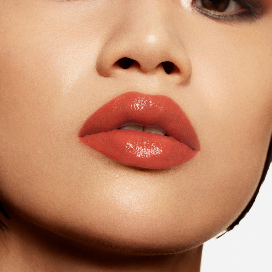 Liquid Lipstick Vinyl Thar Desert 255