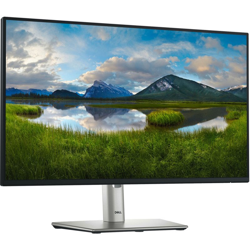 DELL P Series P2425H écran plat de PC 60,5 cm (23,8