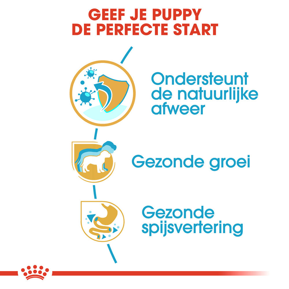 Royal Canin Jack Russell Terrier Puppy - Hondenvoer