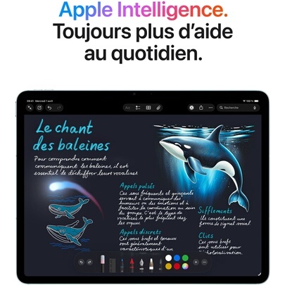 iPad Apple iPad Air 13