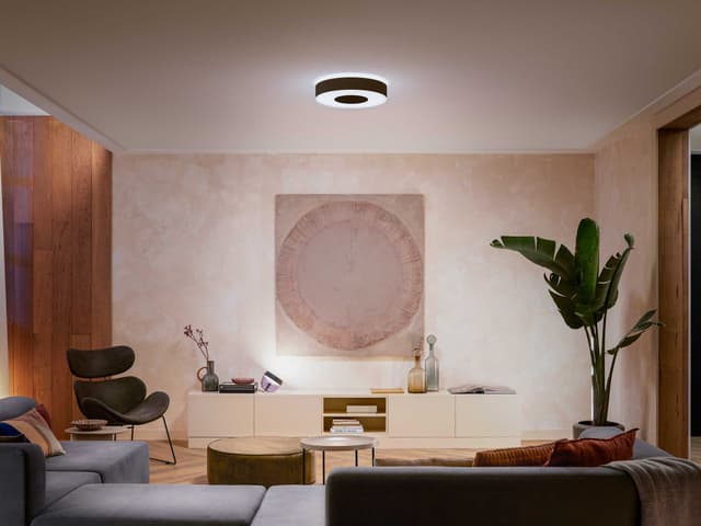Philips Hue Infuse M loftslys (sort)