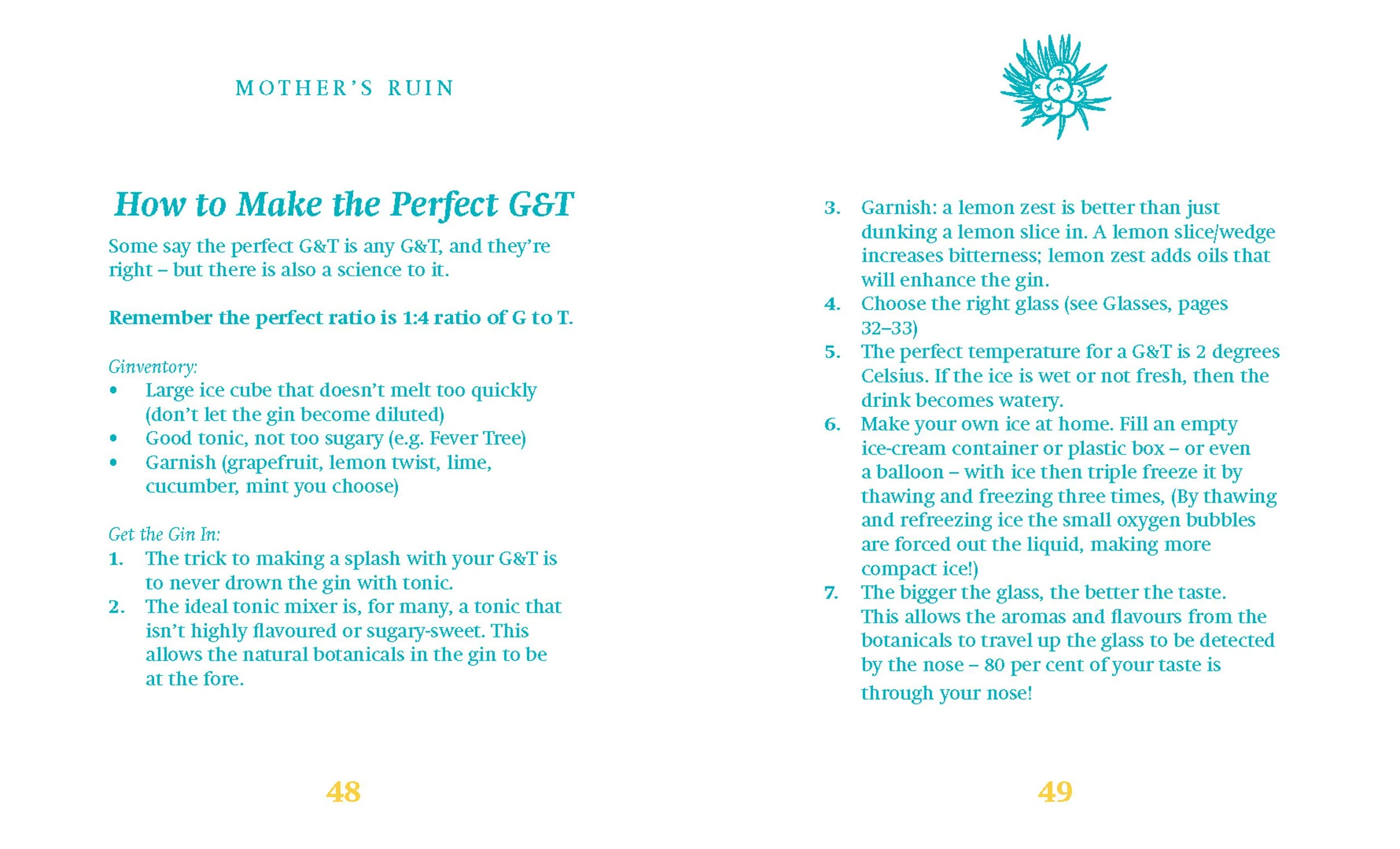 New Mags  The Little Book of Gin bog