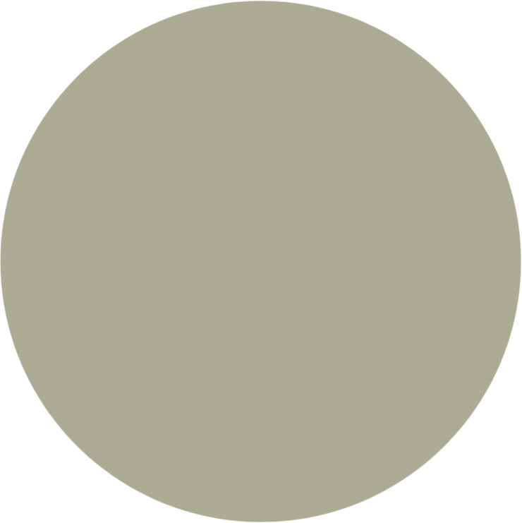 COLOR-STORIES AVOCADO 2500 ML Avocado