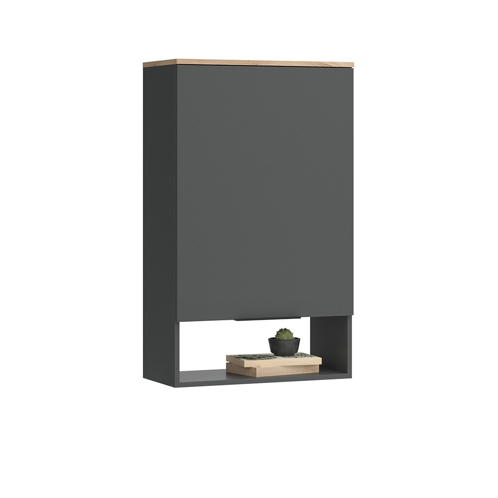 Vicco Hängeschrank Wido Anthrazit Eiche 60 x 100 cm mit Tür