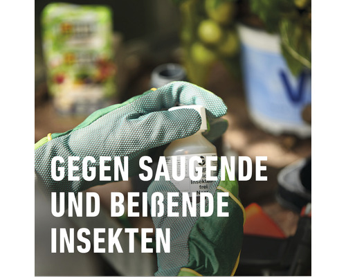 Organisch Insectenvrij Neem COMPO Concentraat 30 ml