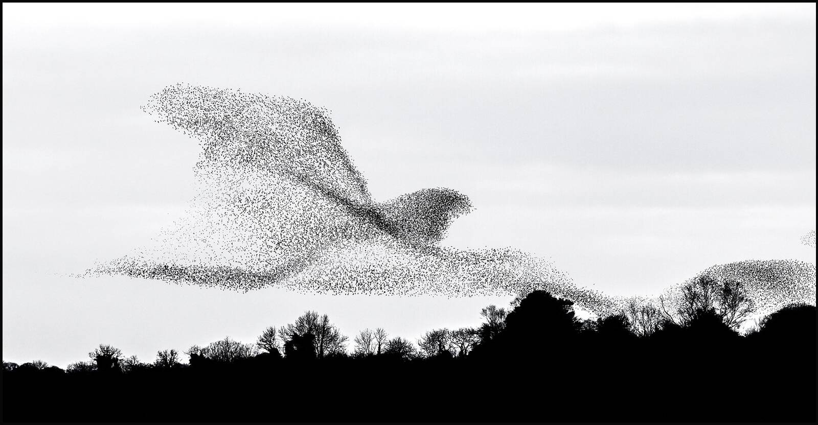 Harmony, Lough Ennell, Ireland by James Crombie - Limited Edition. Edition of: 150. Signed.