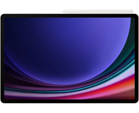 Samsung Galaxy Tab S9  wifi 256GB Beige