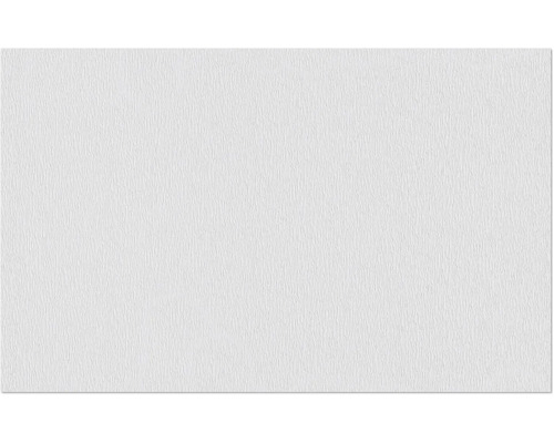 Erfurt vliesvezel 1004363 Protect 213 10.05x0.53 m