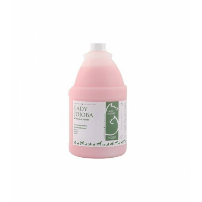 Shampoing Lady Jojoba Ladybel pour pelage long et soyeux