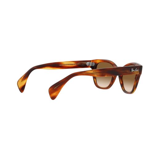 Ray Ban RB0880S Solbriller, Havana