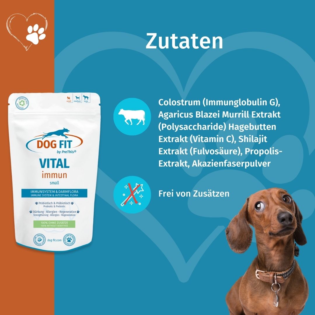 DOG FIT by PreThis® VITAL immun für Hunde » Stärkung, Darmaufbau, bei Allergien (small)