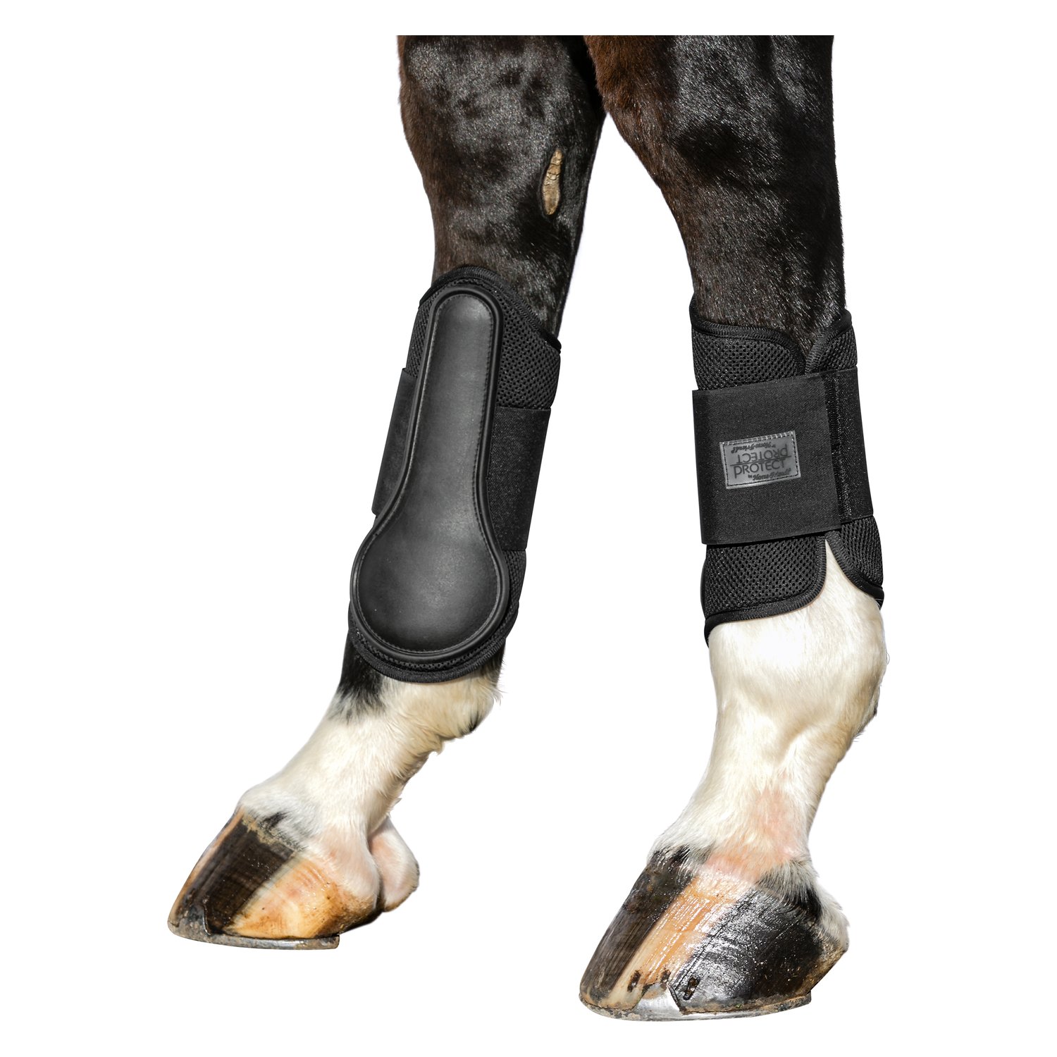 PROTECT by Horse-friends Gamaschen Mesh, hinten  - schwarz