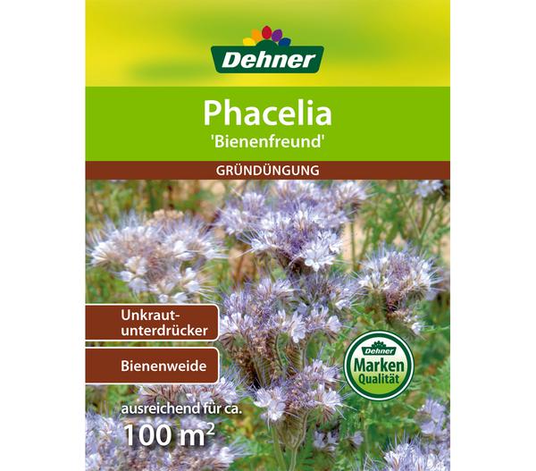 Dehner Gründüngung Phacelia Allround