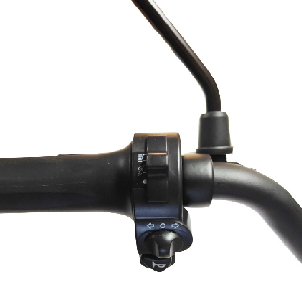FORÇA Captain Pro Elektro-Scooter bis 50 km/h Topspeed in Schwarz - 12AH Blei-Gel Akku