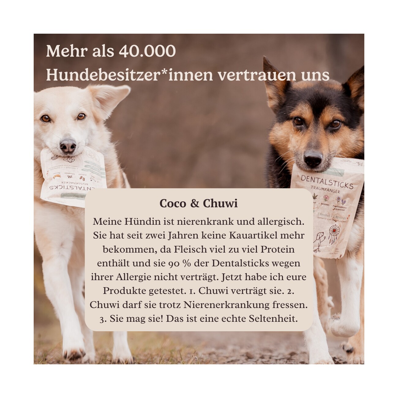 Hunderunde Nussknacker Dental Sticks – Für spielerische Zahnpflege 360 g