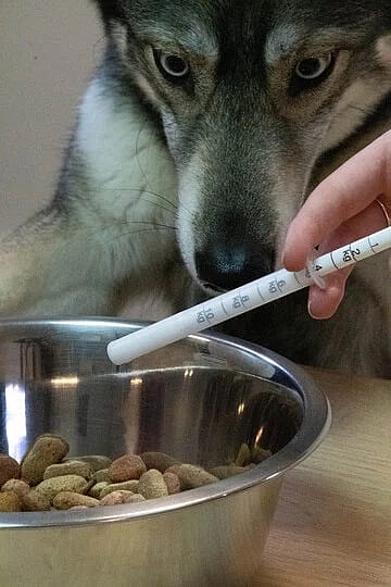 Dolthene Ontwormen Hond 20 ml 1 flacon