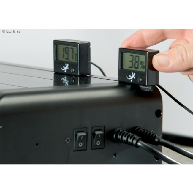 Thermomètre digital Exo Terra pour terrarium