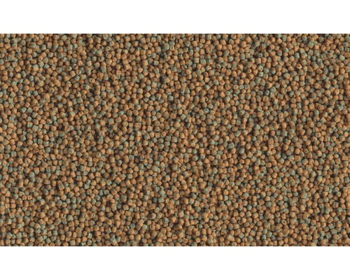 Tetra Cichliden Algen 500 ml