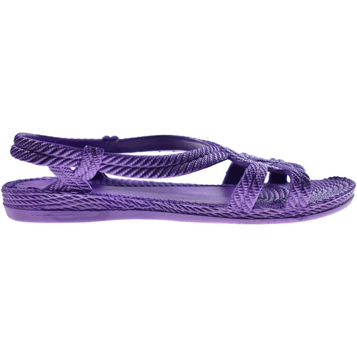 Brasileras - Esmirna Violeta