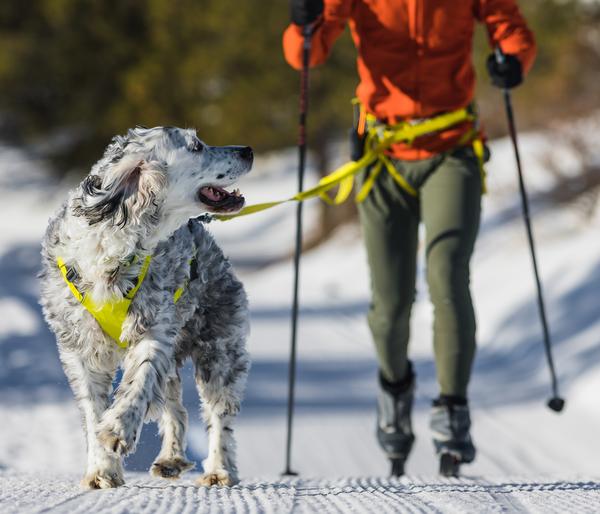 RUFFWEAR® Joring System Omnijore™