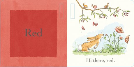 Guess How Much I Love You: Colours - Guess How Much I Love You (Board book)