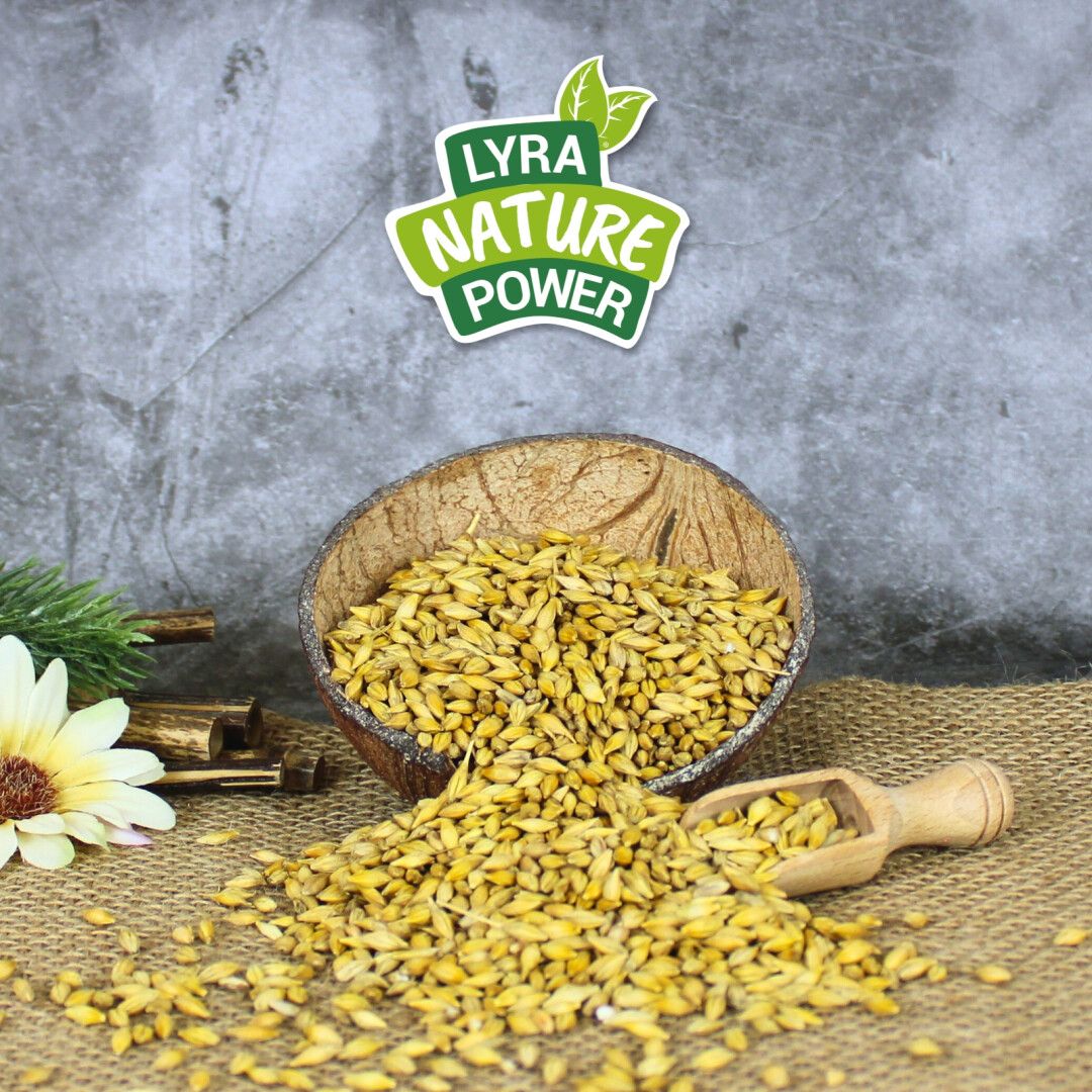 Lyra Pet® Gerste ungeschält