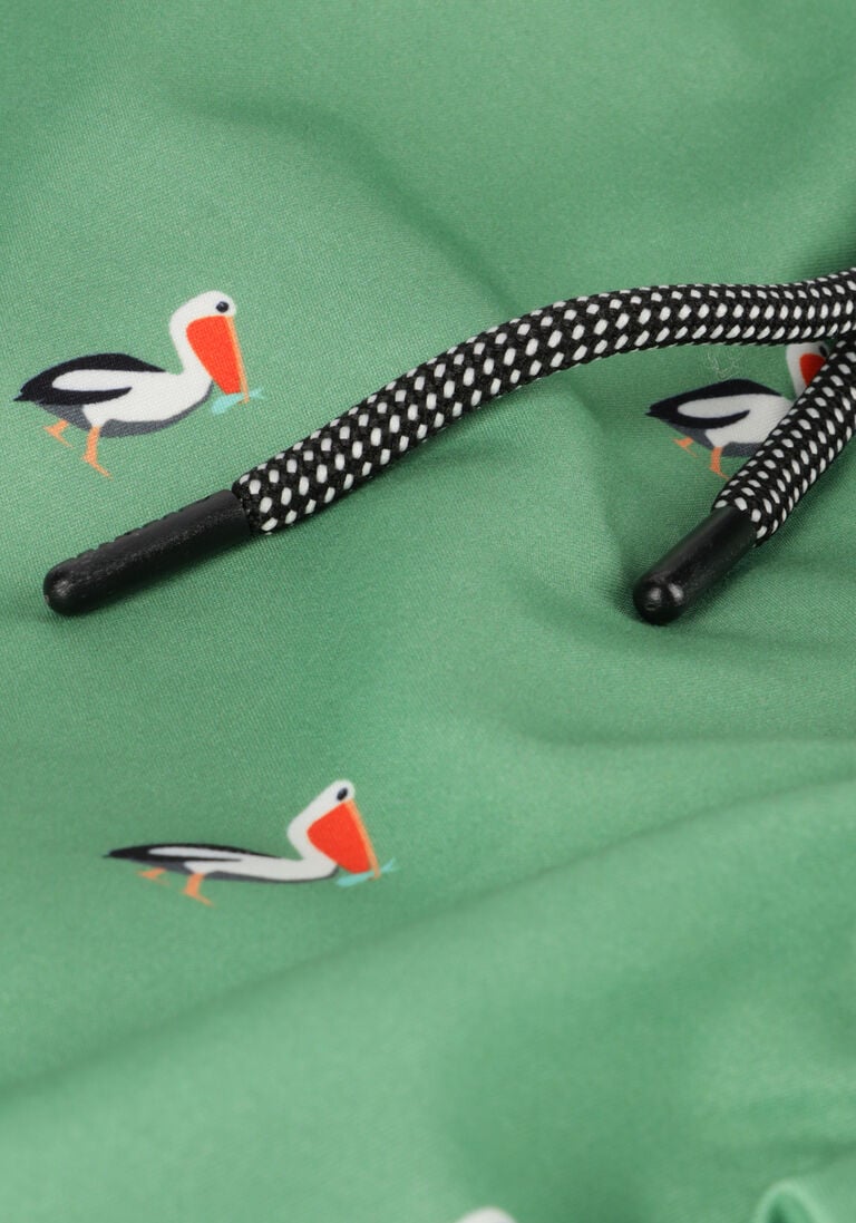 SHIWI groene shiwi  swim shorts pelican