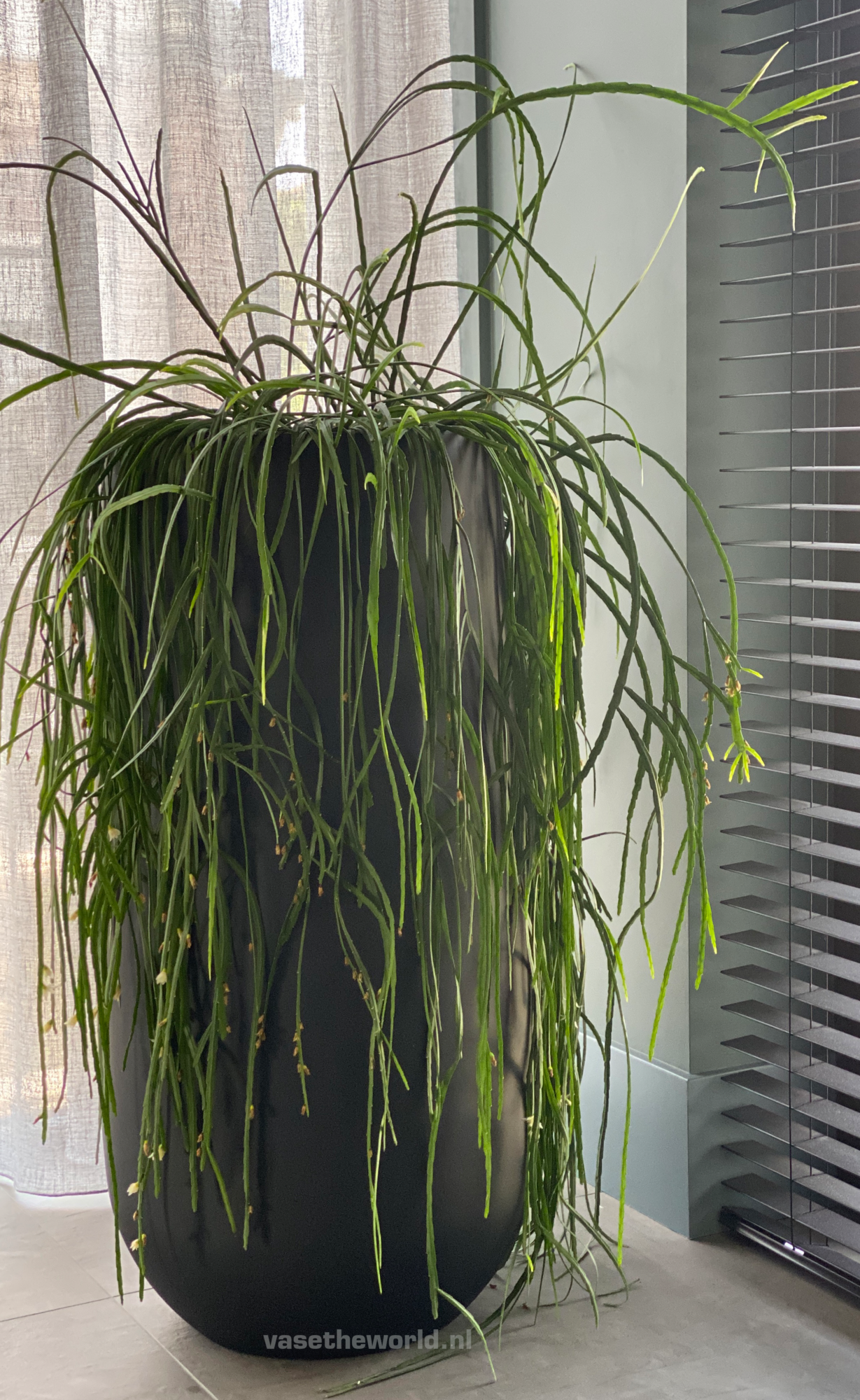 Plantenpot Idaho black Ø35 x H70cm